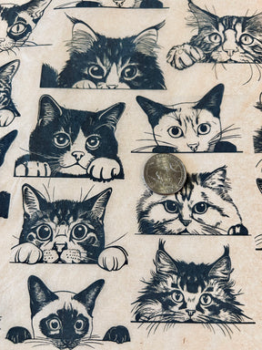 Zany Cats - Underglaze Transfer Sheet