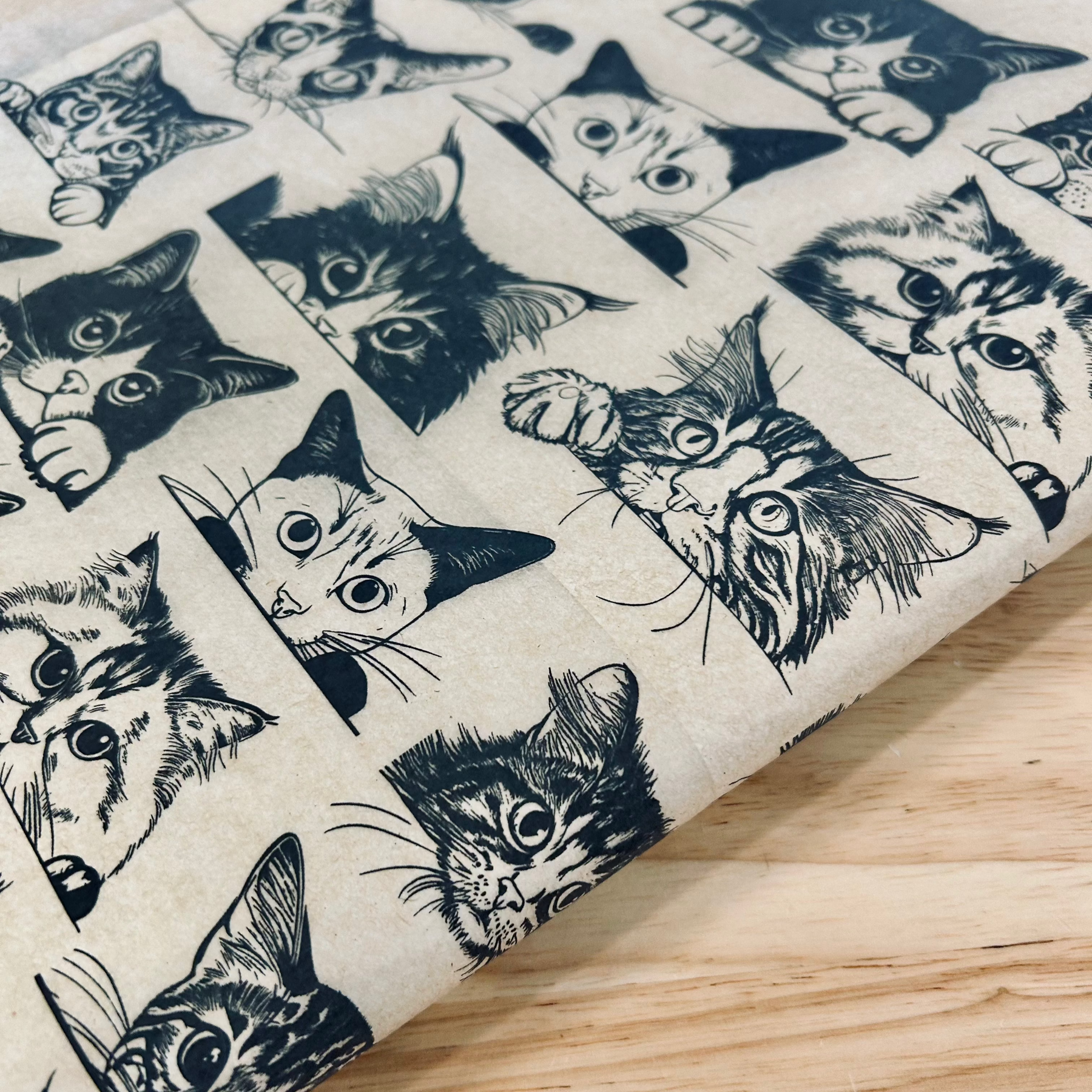 Zany Cats - Underglaze Transfer Sheet