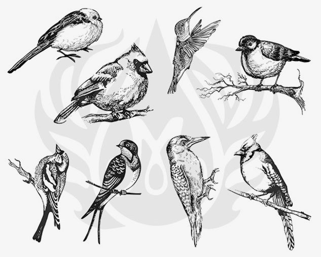 Designer Silkscreen Aviary – Small Birds