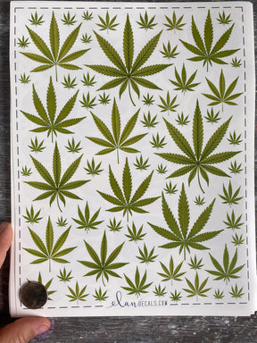 Cannabis - Overglaze Decal Sheet
