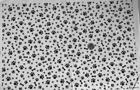 Paw Prints - Underglaze Transfer Sheet