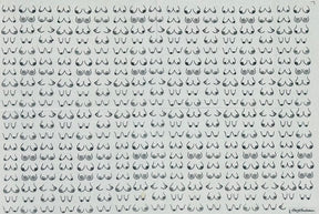 Boobies - Underglaze Transfer Sheet