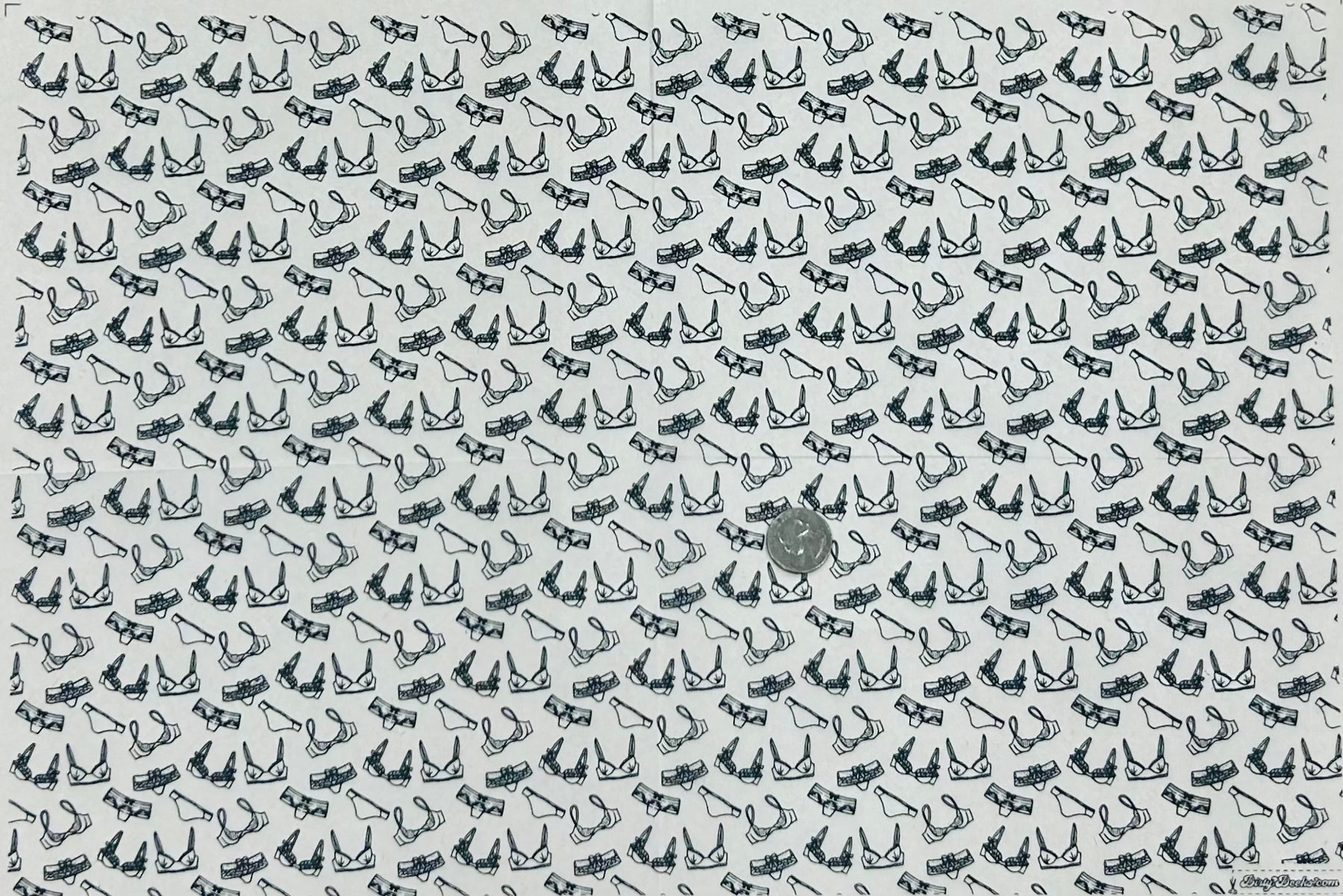 Bras N Panties - Underglaze Transfer Sheet