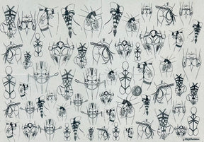 Submissive - Underglaze Transfer Sheet