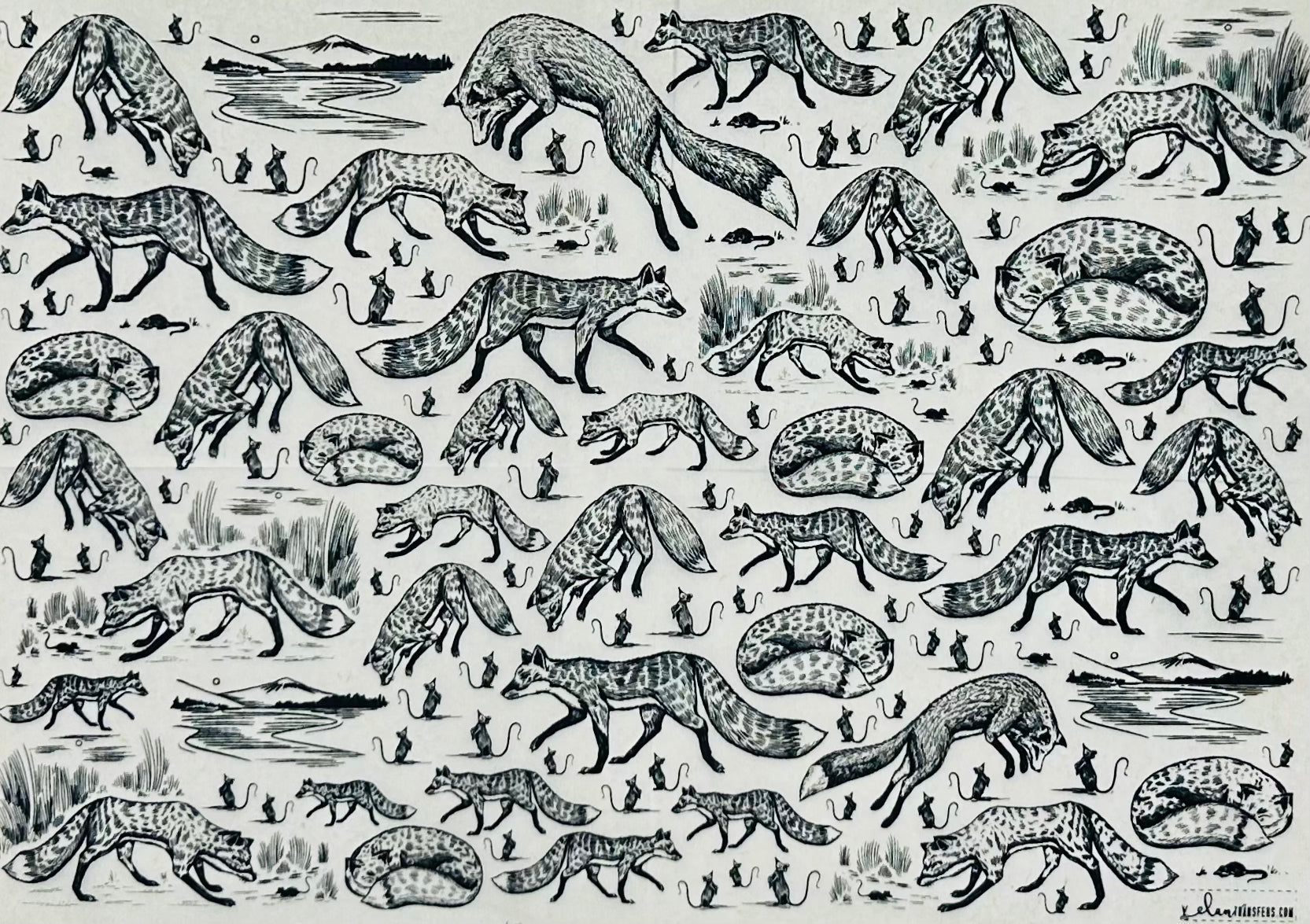 Foxy Loxy - Underglaze Transfer Sheet