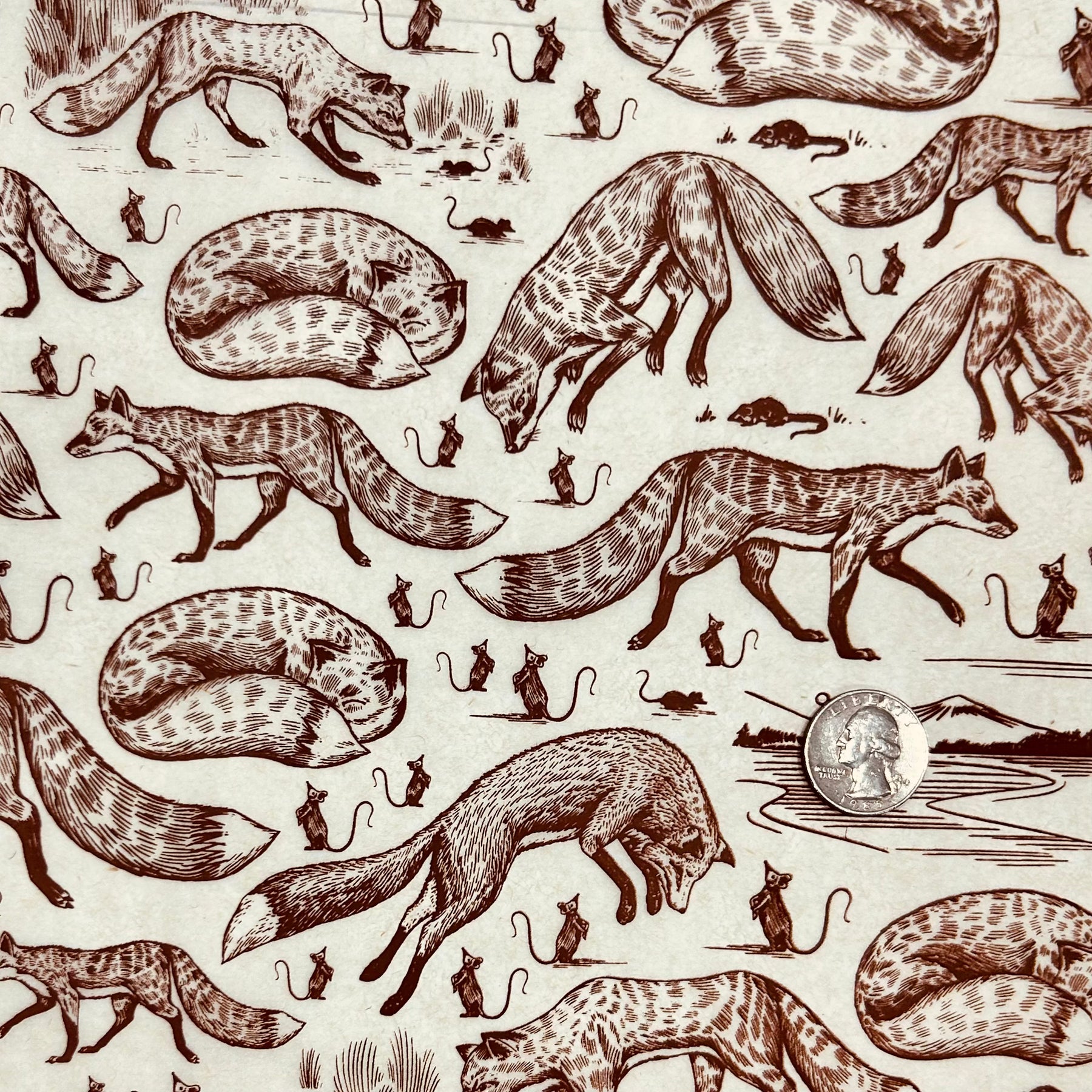 Foxy Loxy - Underglaze Transfer Sheet