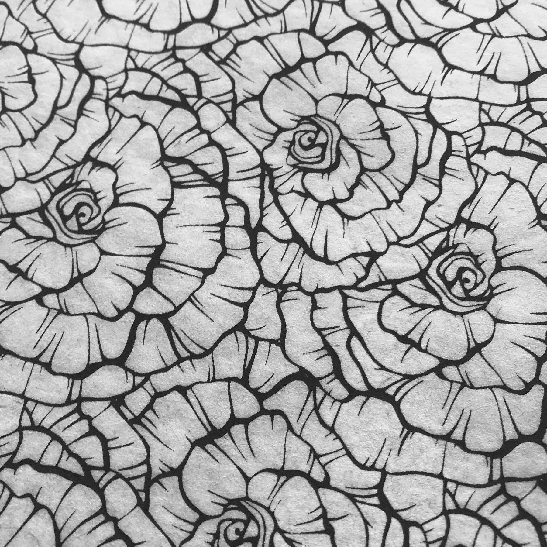 Roses - Underglaze Transfer Sheet